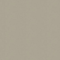 A100309